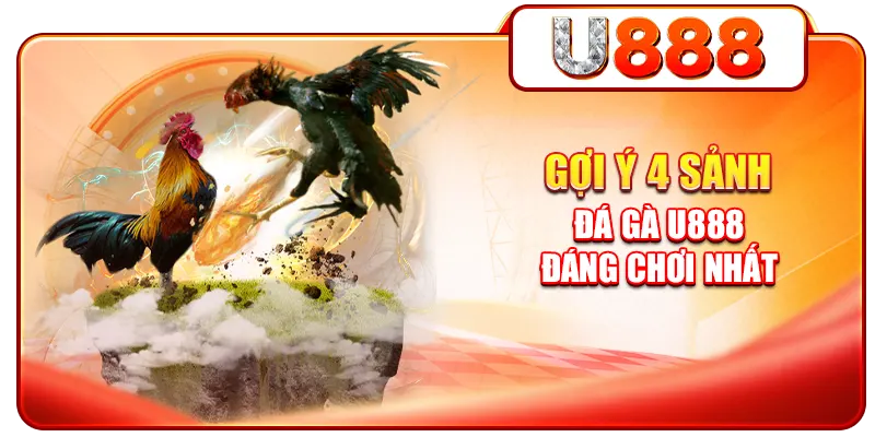 Gợi ý 4 sảnh đá gà U888 đáng chơi nhất