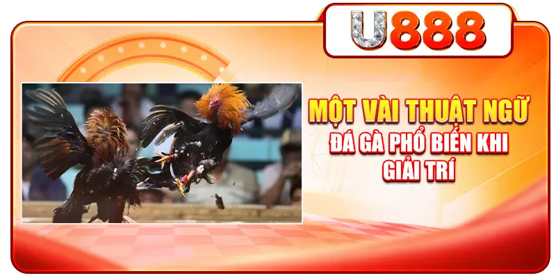 Một vài thuật ngữ đá gà phổ biến khi giải trí